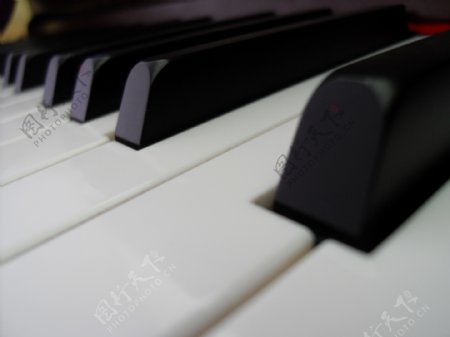钢琴2图片