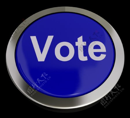 蓝色显示选项或选择投票按钮
