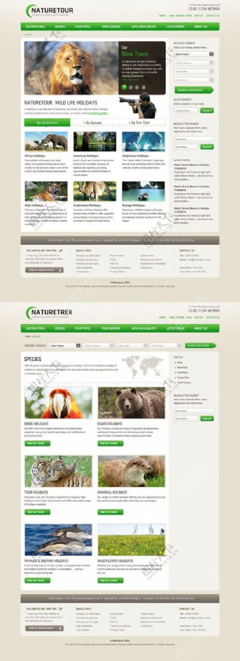2版动物世界网页模板psd分层素材