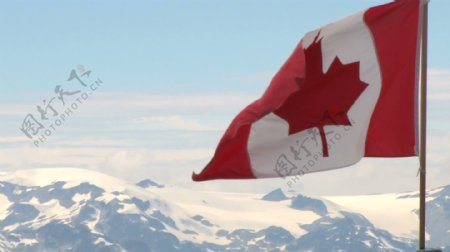 加拿大的国旗在风中股票的录像视频免费下载