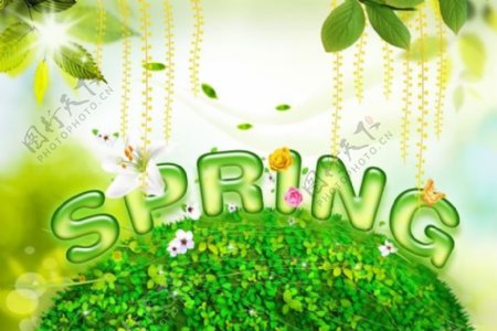 spring绿色海报背景