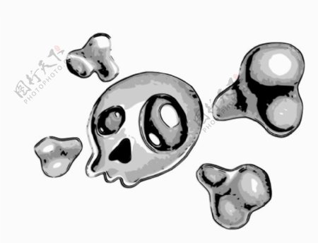 颅骨和骨骼的剪辑艺术