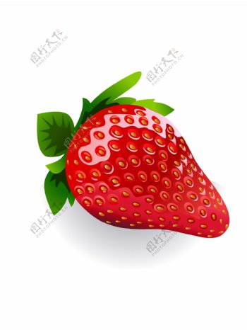 草莓水果矢量图下载
