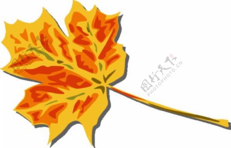 秋天的树叶的剪辑艺术2