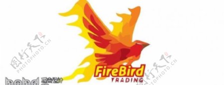 鸟类logo图片