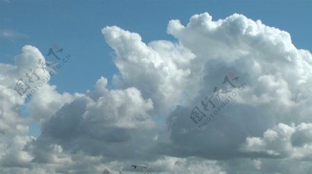 波罗的海鸥云如股票录像纪录视频免费下载