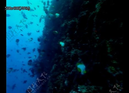 深海水世界
