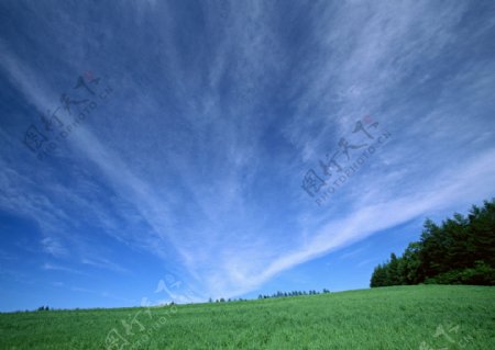 天空大地蓝天白云草地