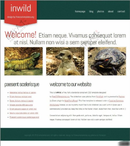 动物园网页设计