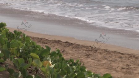 海浪在沙滩上股票的录像视频免费下载