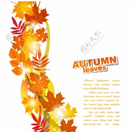 美丽的秋天树叶背景02矢量素材