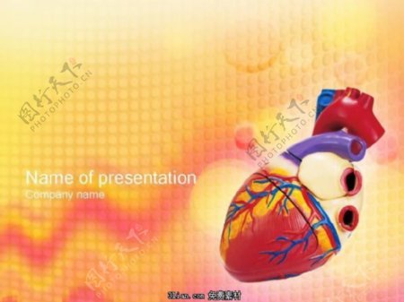 心脏模型医学行业PPT模板