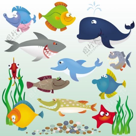 矢量卡通海洋鱼类