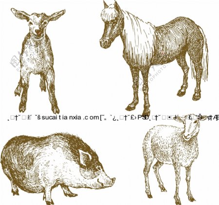 手画家畜动物线稿矢量素材