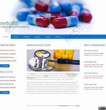 简洁生物制药公司网页模板