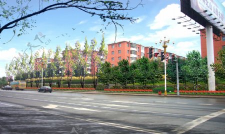街路绿化图片