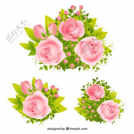 3组精美粉色玫瑰花矢量素材