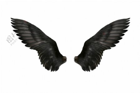 天使精灵翅膀图片