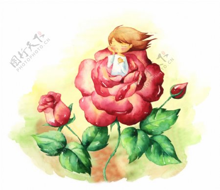 卡通玫瑰仙子