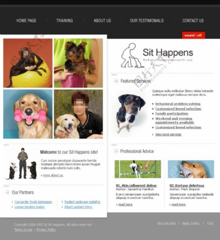 宠物网站设计