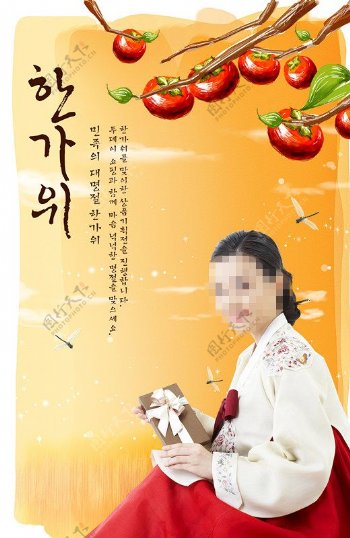 成熟的柿子和朝鲜族美女