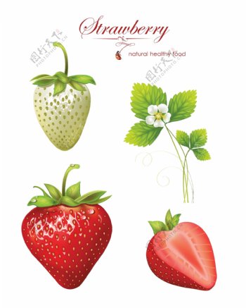 成熟的草莓