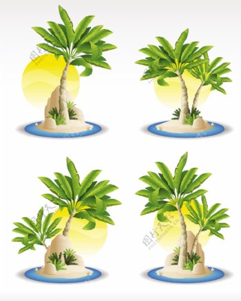 阳光和热带植物矢量图标
