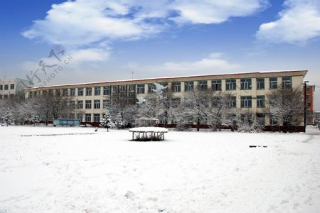 初冬大雪校园风景图片