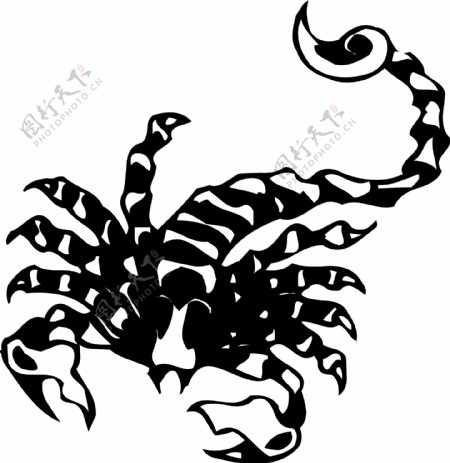 印花矢量图动物蝎子色彩黑白色免费素材