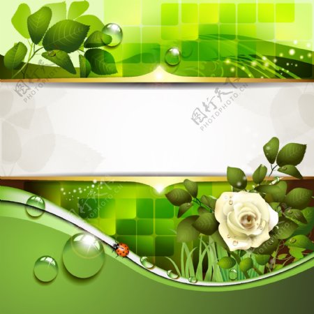 绿色玫瑰横幅设计