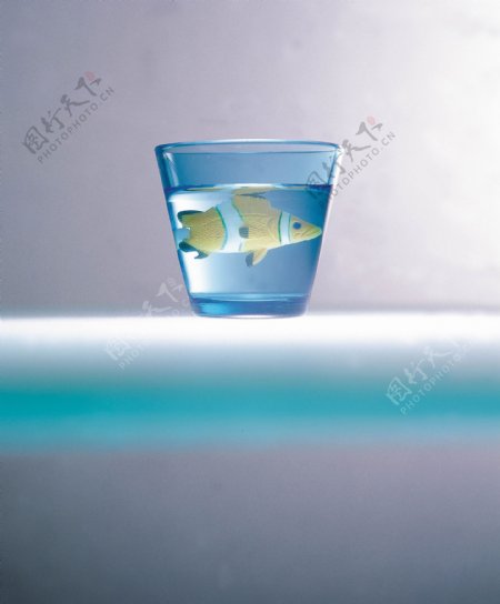 杯中鱼图片