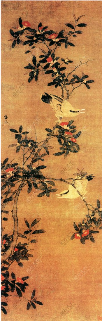 古典花鸟画花卉
