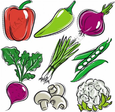 蔬菜图标背景矢量素材