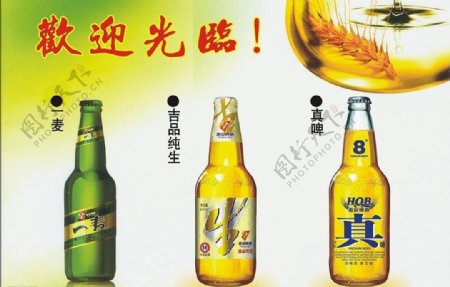 惠泉啤酒广告图片