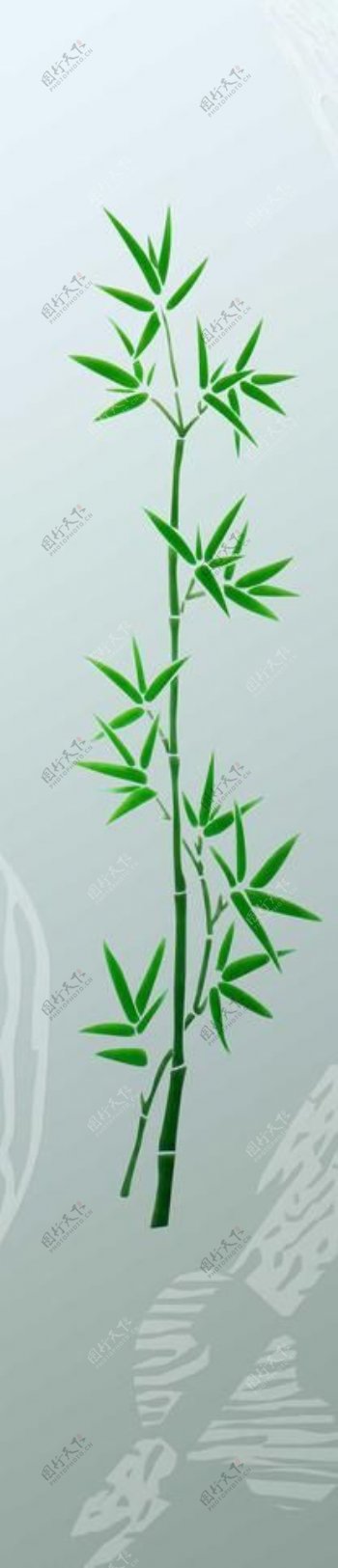 竹子图案