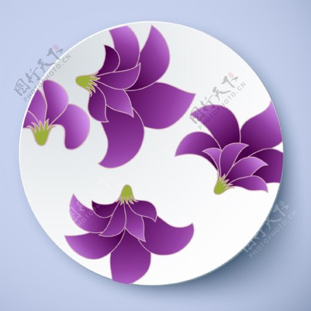 盘子花纹紫色花卉图案
