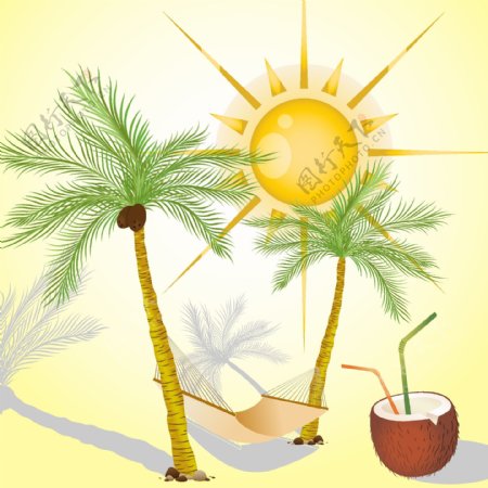 阳光和椰树