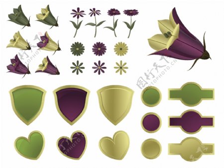 紫绿花