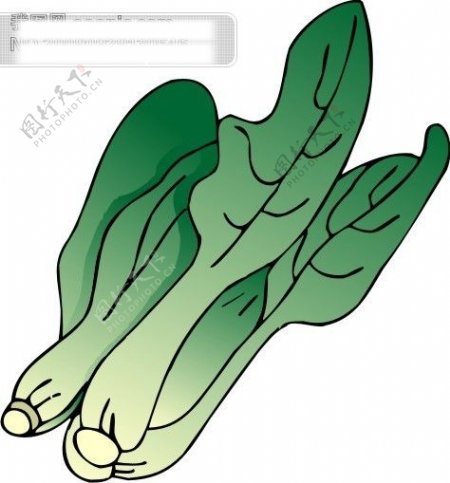 蔬菜卡通图14