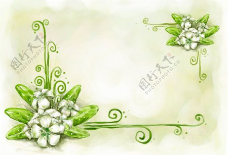 手绘白色花朵风格艺术背景
