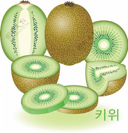 韩国风格精美诱人水果矢量素材下图片
