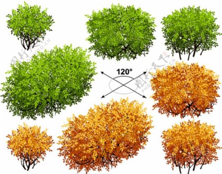 矮树丛设计矢量素材