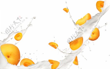 奶浪中的橙子图片