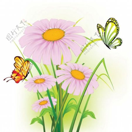 鲜花与蝴蝶矢量图