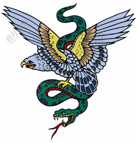鹰蛇纹身