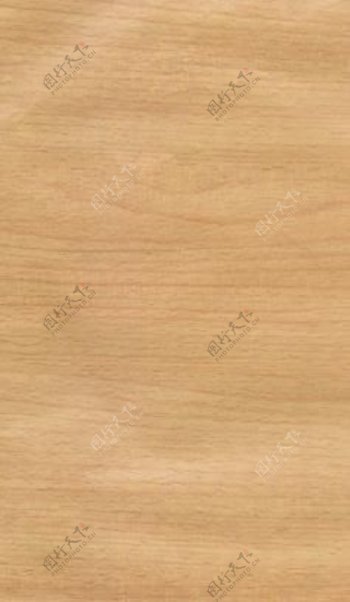榉木2木纹木纹板材木质