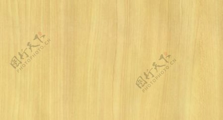 枫木05木纹木纹板材木质