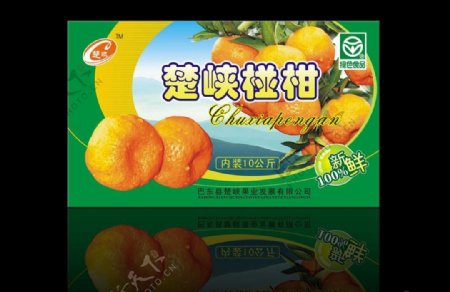 柑橘包装图片
