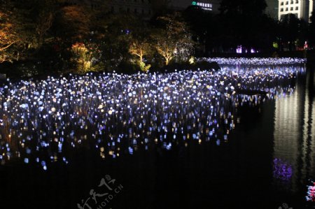 广州灯光节图片