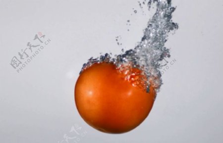 食物西红柿高清视频